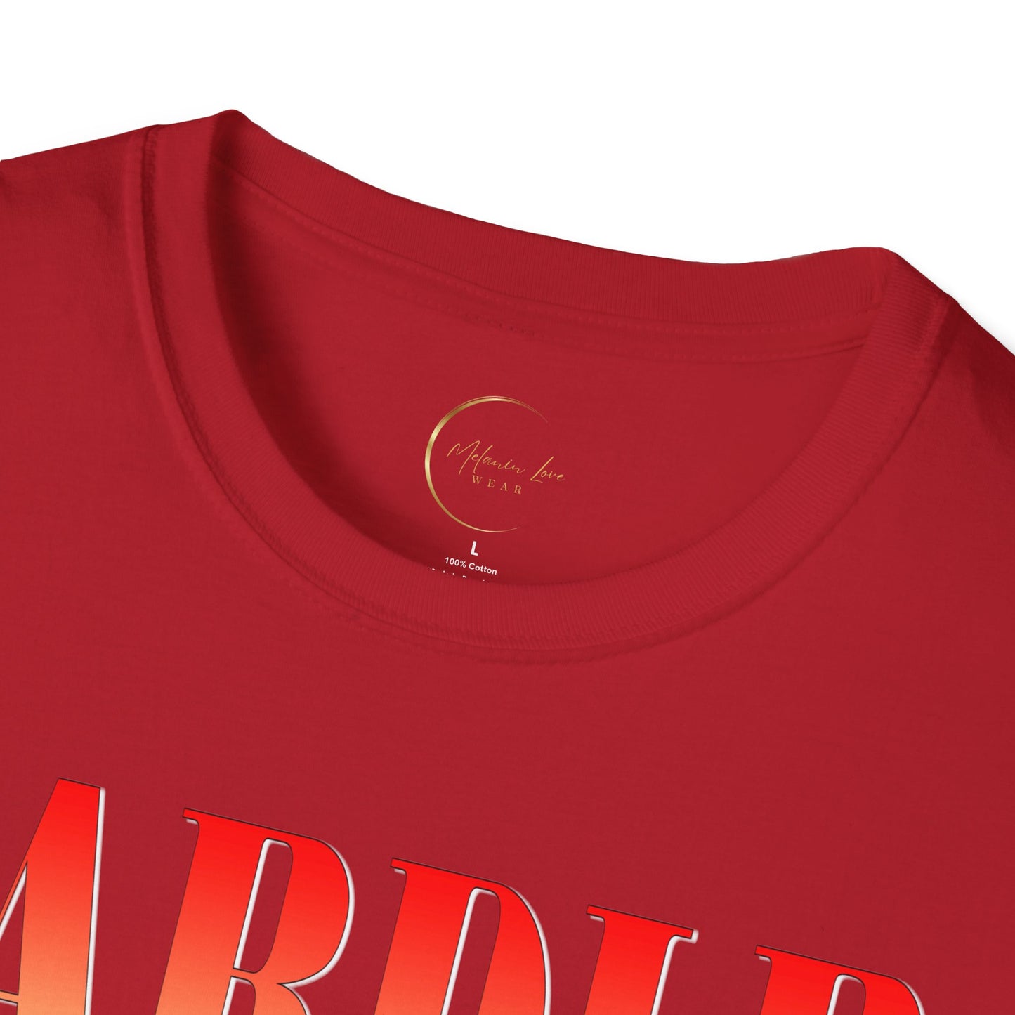Trendy Graphic Tee, Perfect for Concerts, Music Lovers, Gift for Friends, Casual Wear