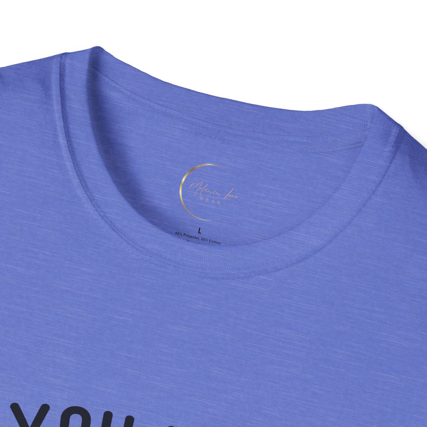 Unisex Softstyle Sarcastic Answer T-Shirt