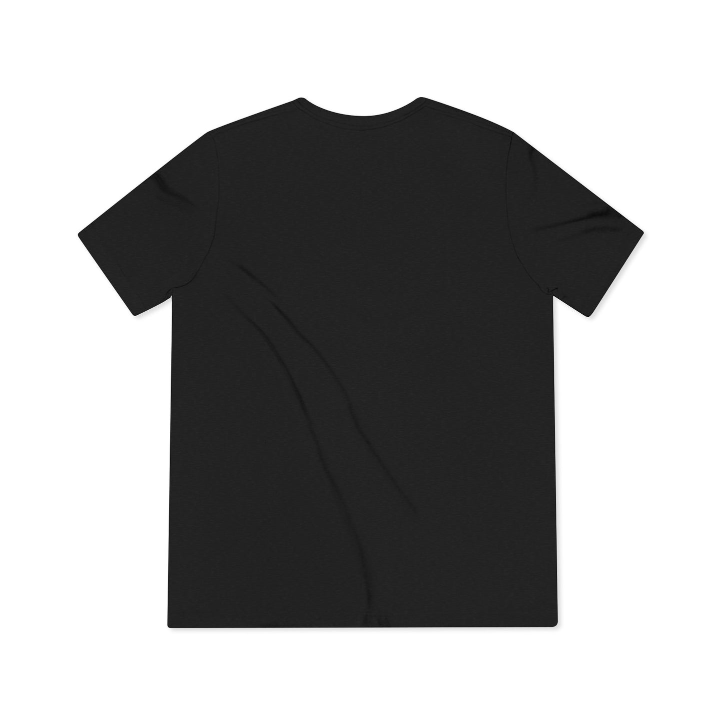 Unisex Black and Proud Triblend Tee