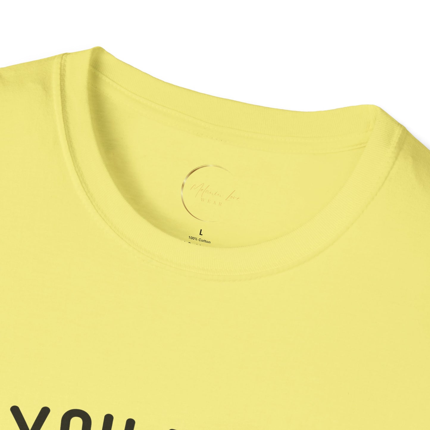 Unisex Softstyle Sarcastic Answer T-Shirt