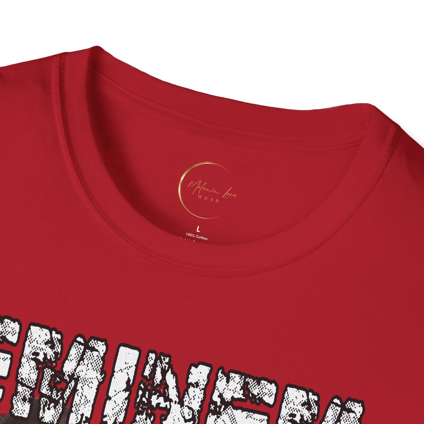 Retro Music Tee, Pop Culture Apparel, Fan Gift, Hip Hop Fashion, Casual Streetwear, Birthday Present