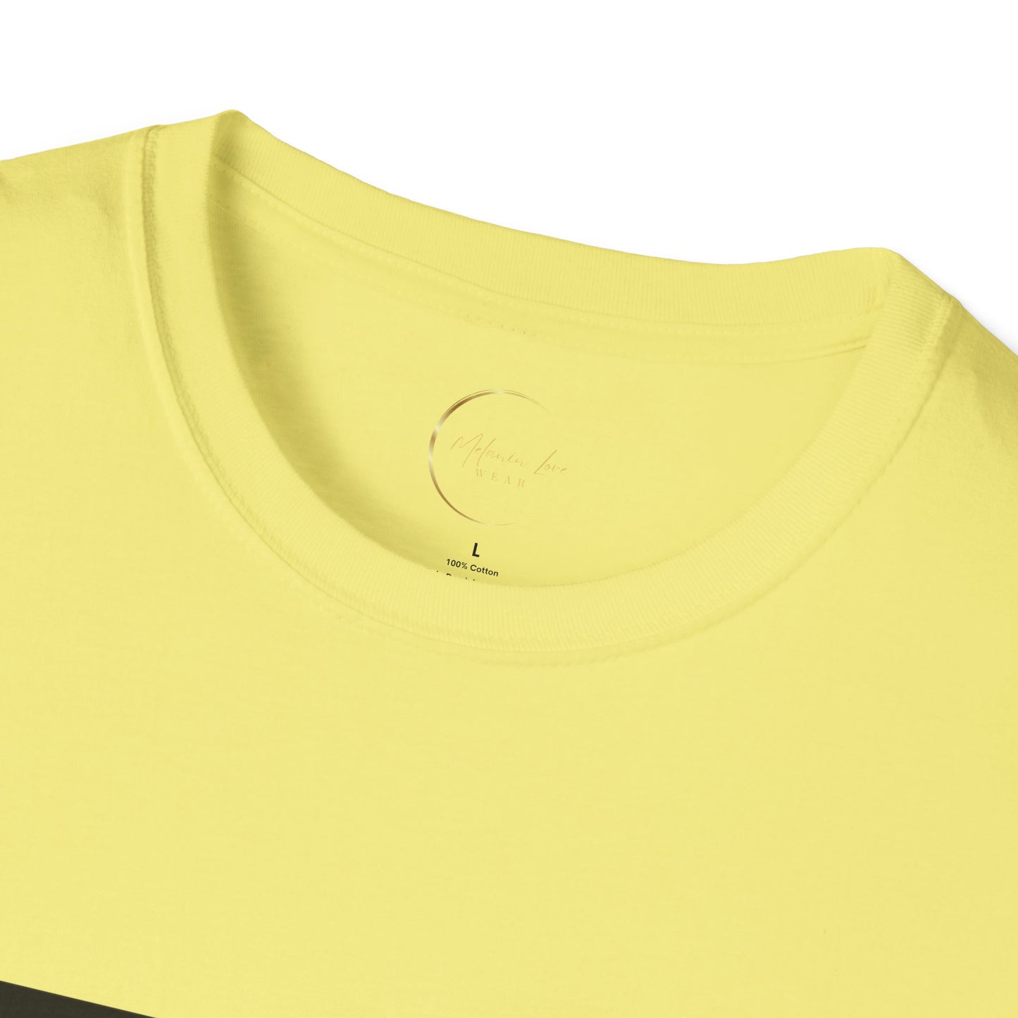 Unisex Softstyle No Filter T-Shirt
