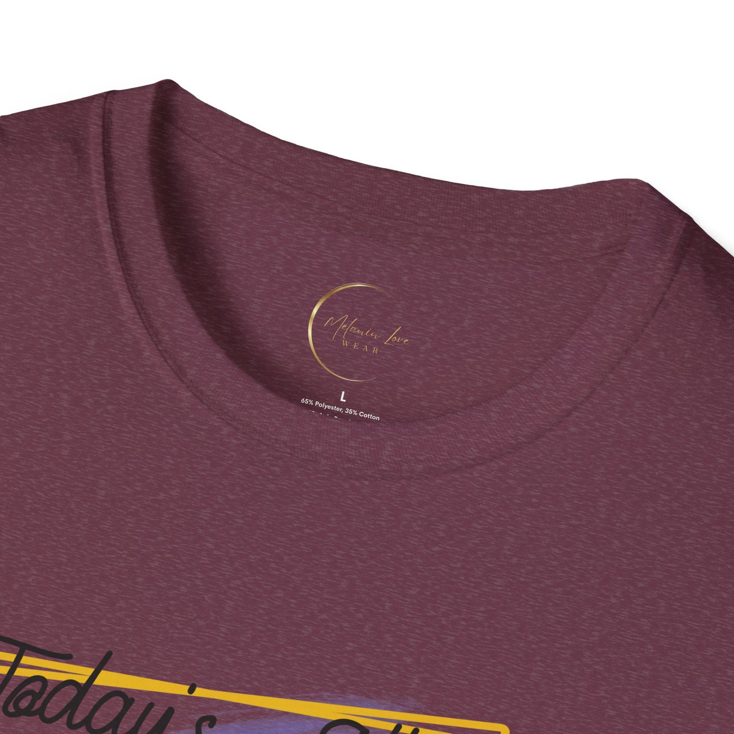 Unisex Softstyle Today's Attitude T-Shirt