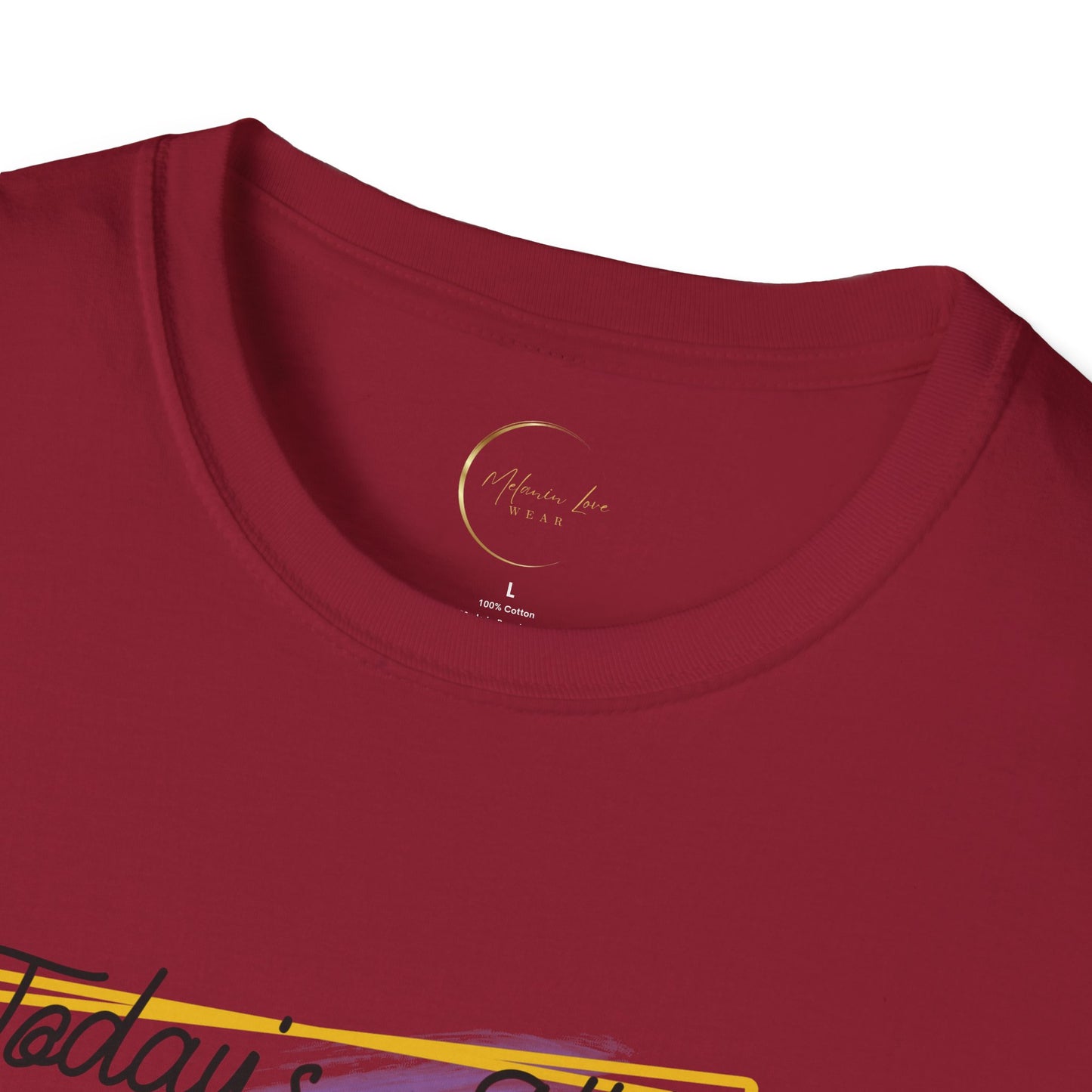 Unisex Softstyle Today's Attitude T-Shirt