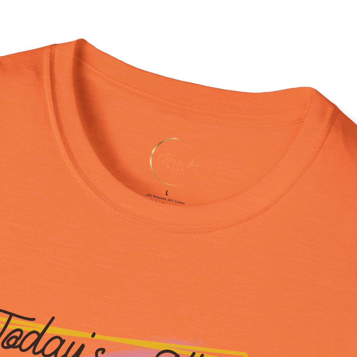 Unisex Softstyle Today's Attitude T-Shirt