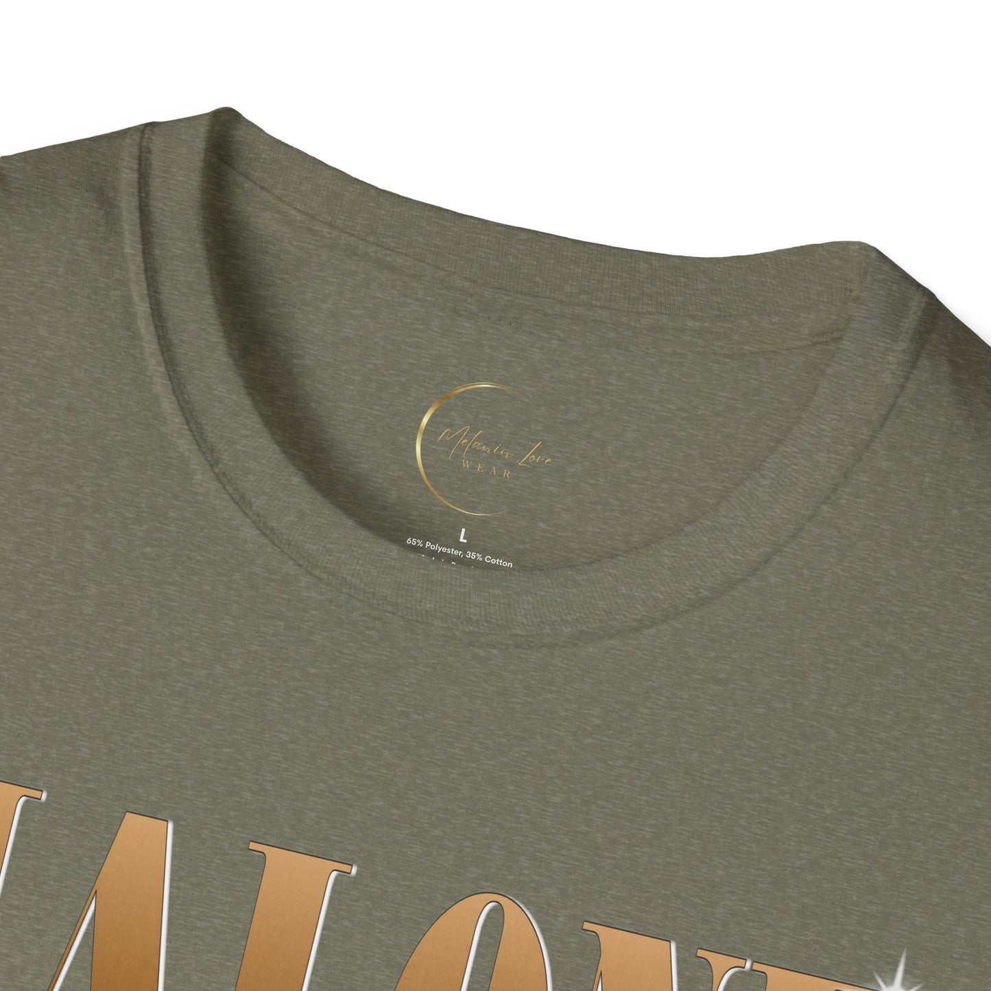Cool Graphic Tee for Fans, Vintage Style T-Shirt, Unisex Softstyle T-Shirt, Gift for Music Lovers, Casual Wear for Concerts