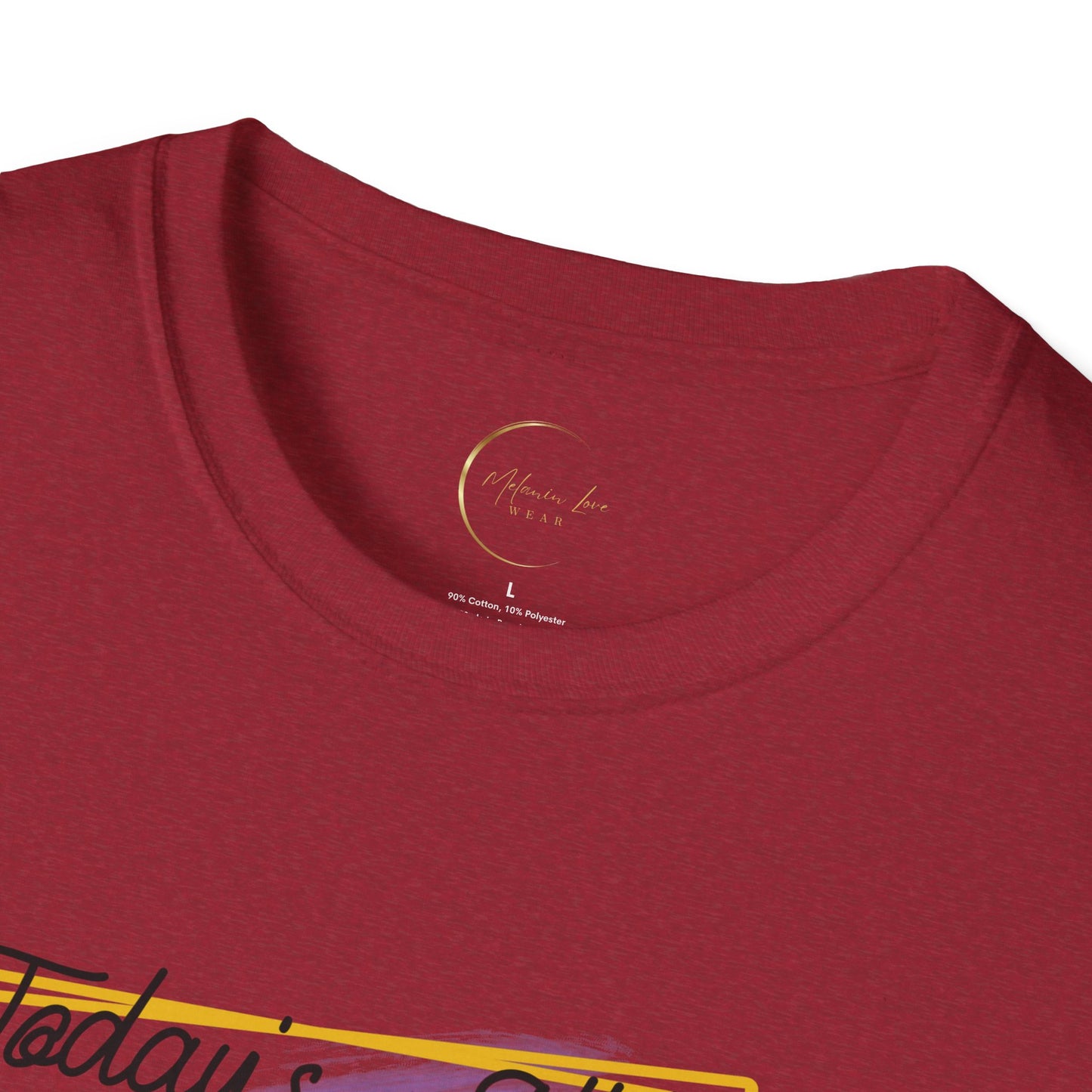 Unisex Softstyle Today's Attitude T-Shirt