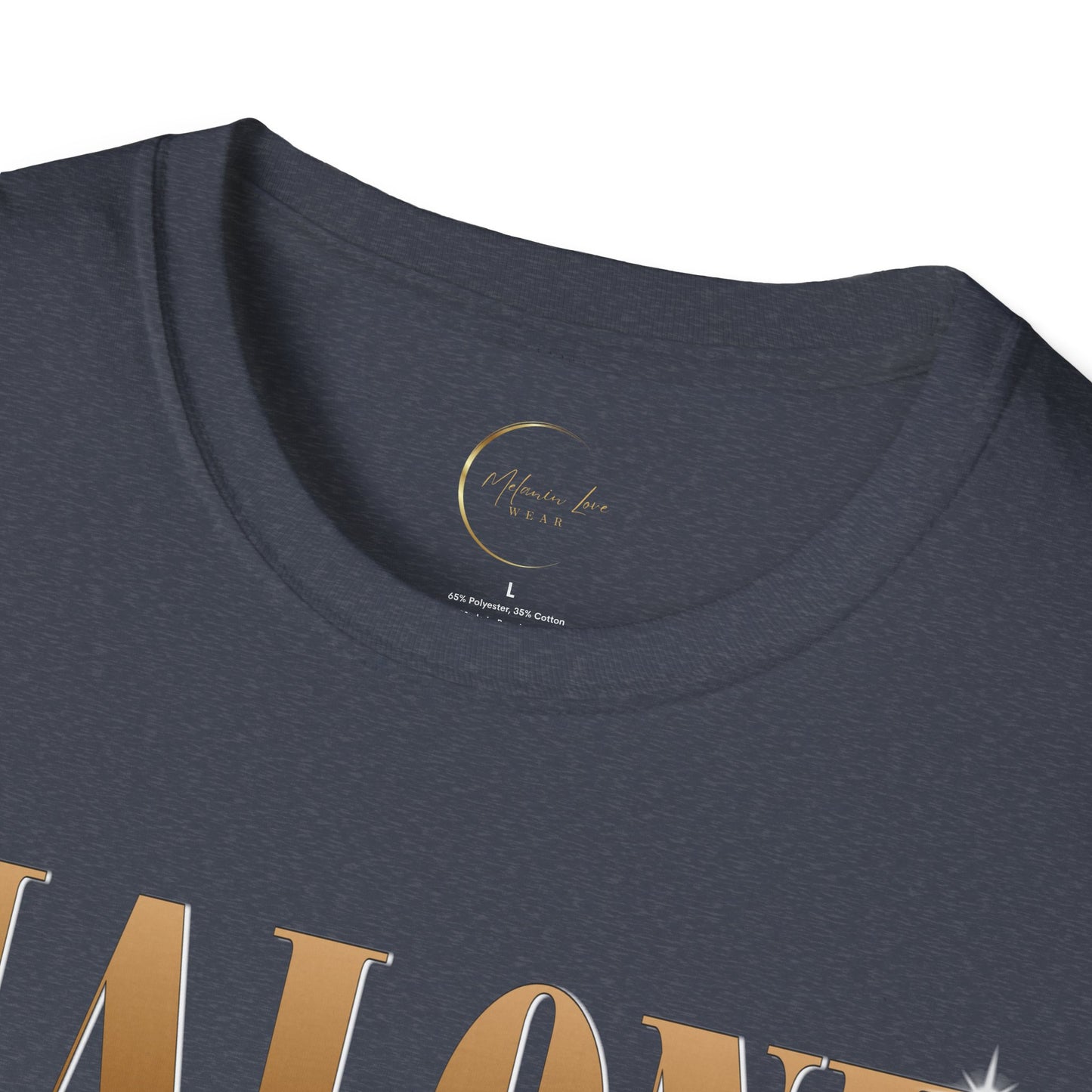 Cool Graphic Tee for Fans, Vintage Style T-Shirt, Unisex Softstyle T-Shirt, Gift for Music Lovers, Casual Wear for Concerts
