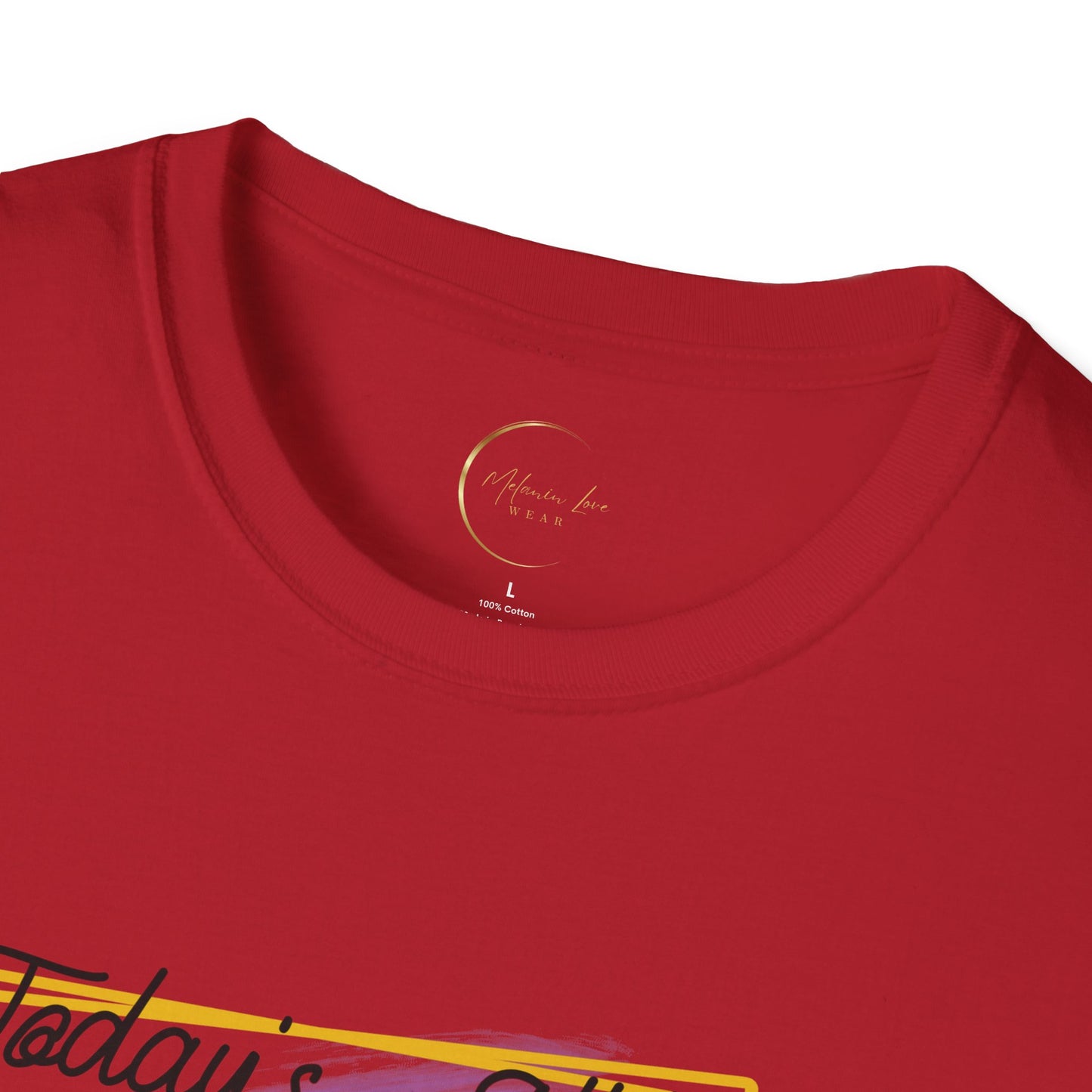 Unisex Softstyle Today's Attitude T-Shirt