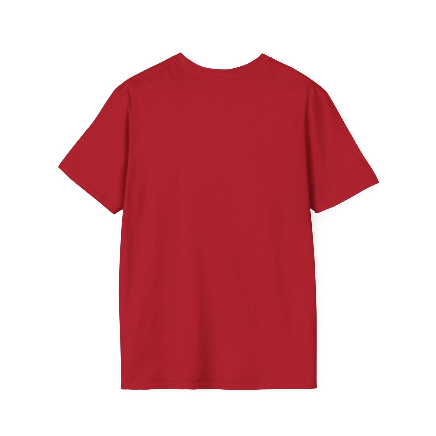 Cool Graphic Tee for Fans, Vintage Style T-Shirt, Unisex Softstyle T-Shirt, Gift for Music Lovers, Casual Wear for Concerts