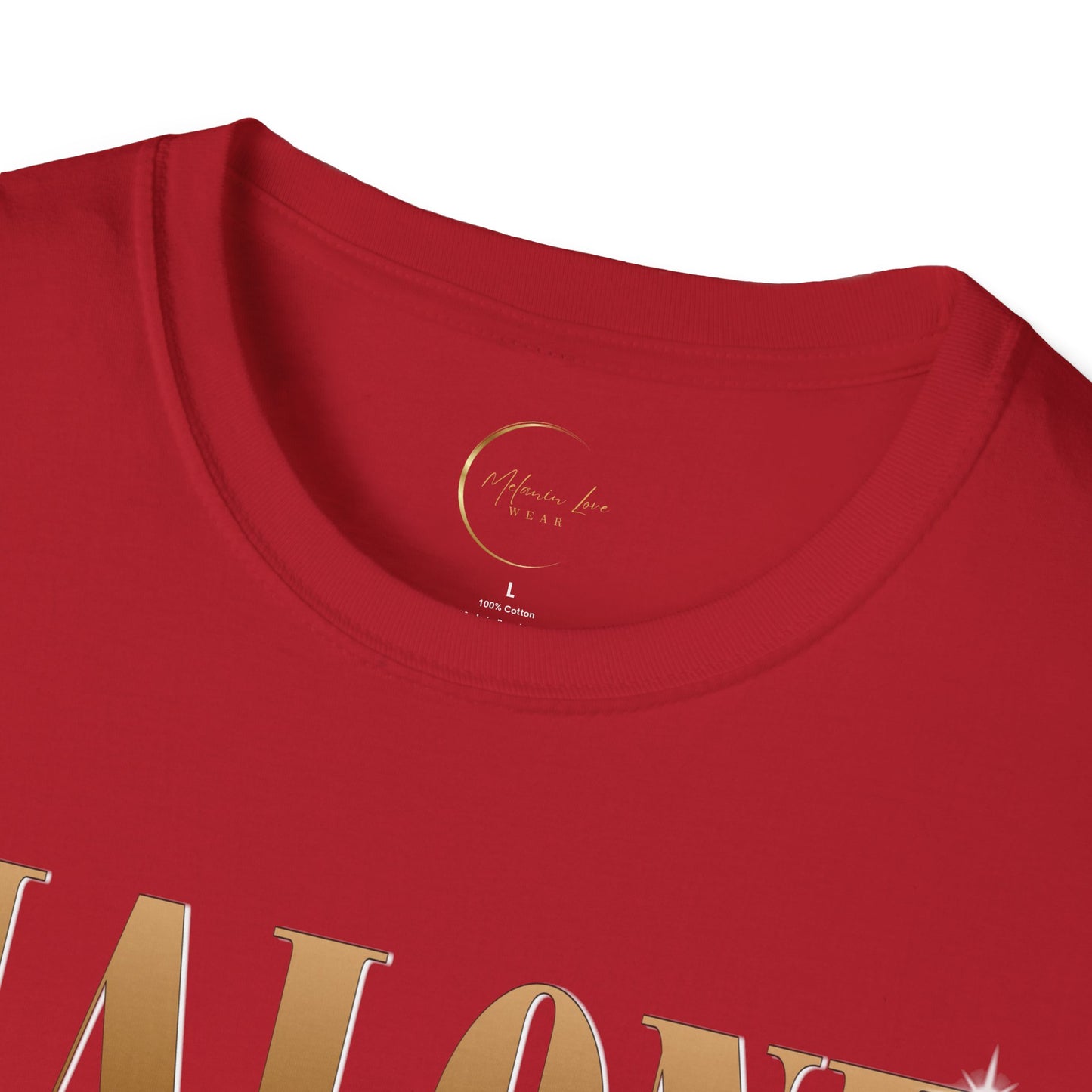 Cool Graphic Tee for Fans, Vintage Style T-Shirt, Unisex Softstyle T-Shirt, Gift for Music Lovers, Casual Wear for Concerts