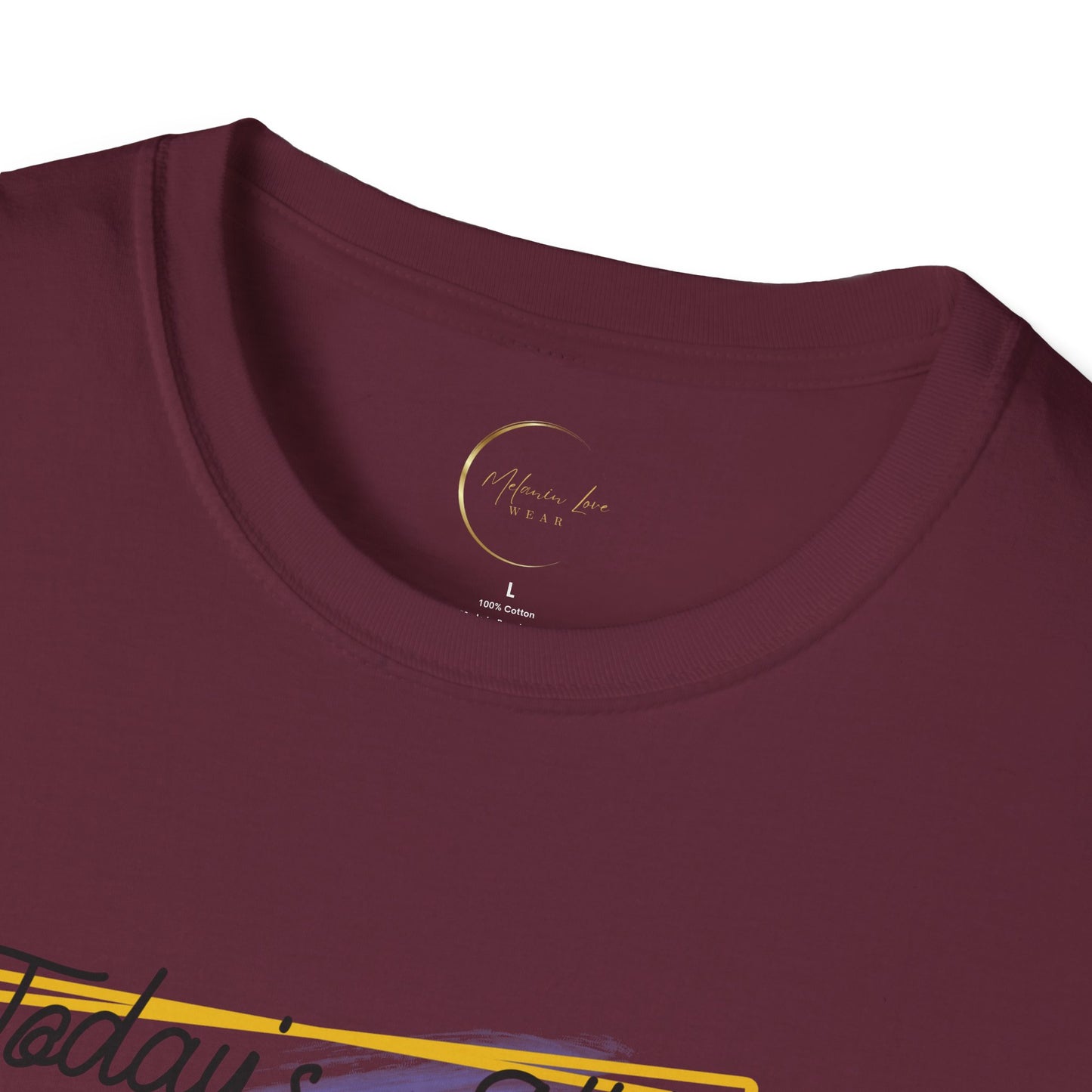 Unisex Softstyle Today's Attitude T-Shirt