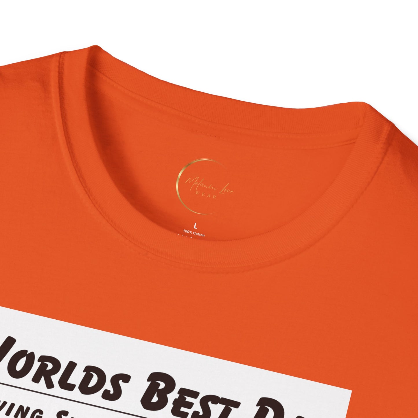 Unisex Softstyle World's Best Dad (Ingredients) T-Shirt