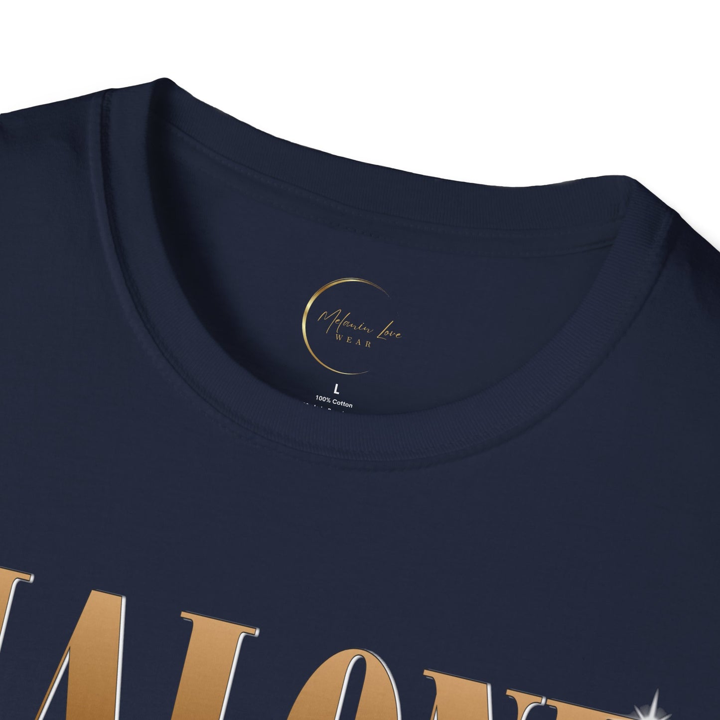 Cool Graphic Tee for Fans, Vintage Style T-Shirt, Unisex Softstyle T-Shirt, Gift for Music Lovers, Casual Wear for Concerts